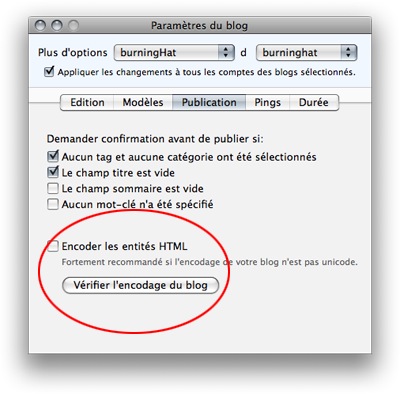 Fenêtre de configuration des options de publication d'Ecto