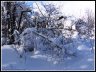 hiver_01.jpg